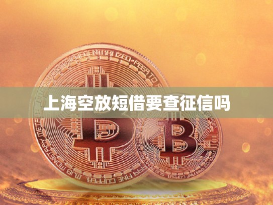 上海空放短借要查征信吗