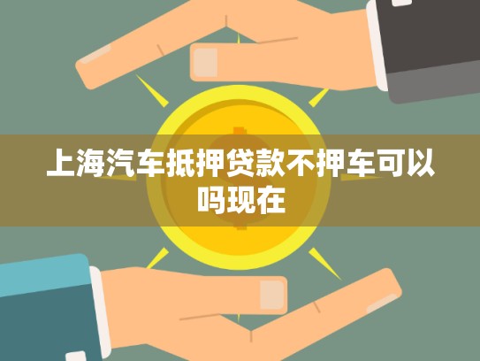 上海汽车抵押贷款不押车可以吗现在