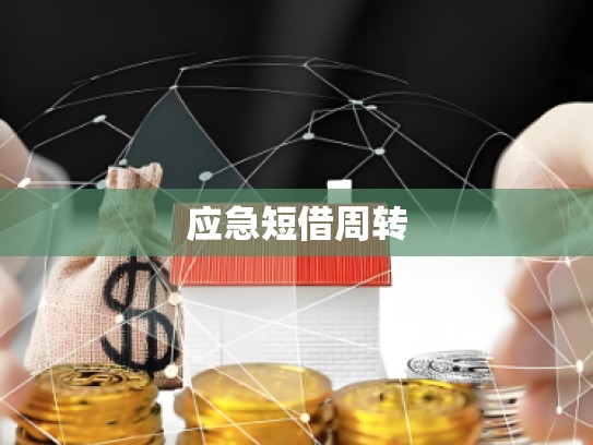 应急短借周转
