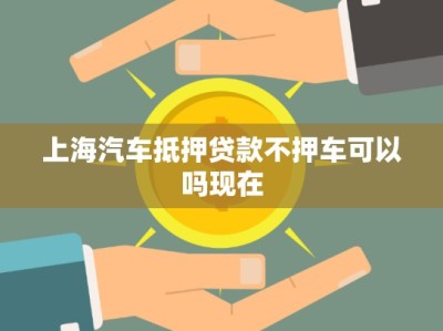 上海汽车抵押贷款不押车可以吗现在