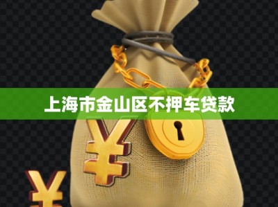 上海市金山区不押车贷款